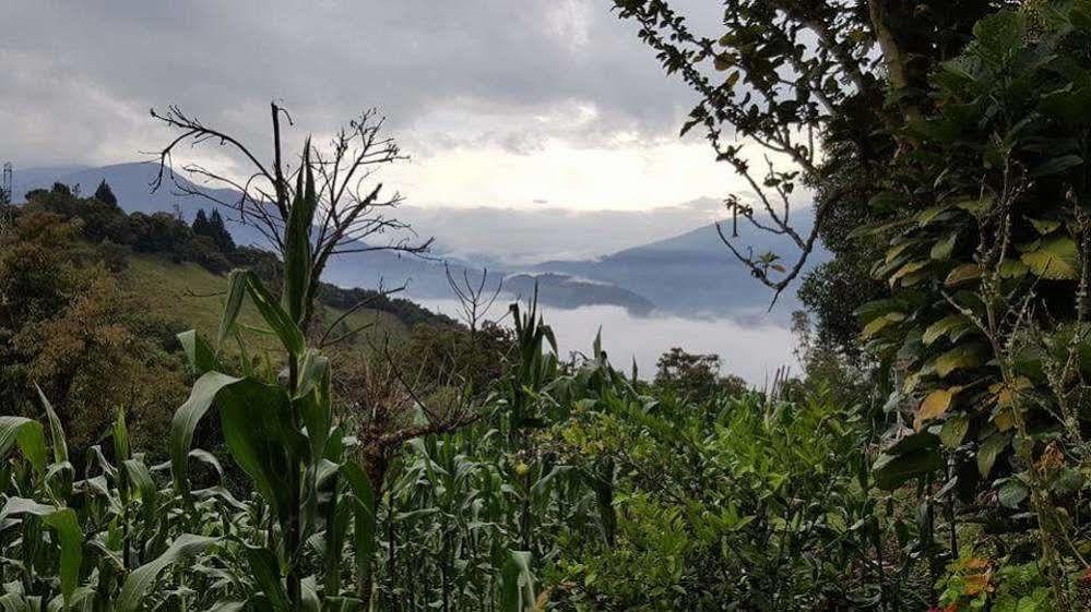 Las Orquideas Banos (Tungurahua) Bagian luar foto